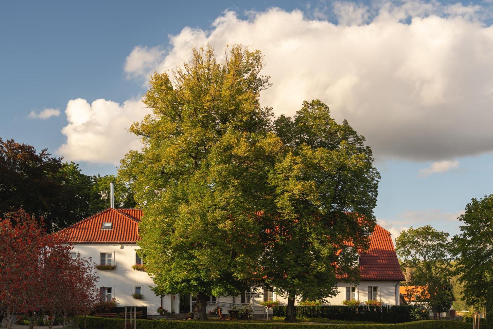 Hotel Stary Mlyn Strzeszyn Lubowo  Exterior foto